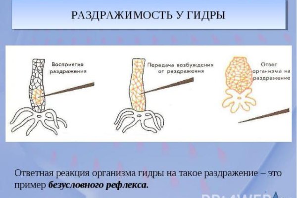 Кракен найдется все