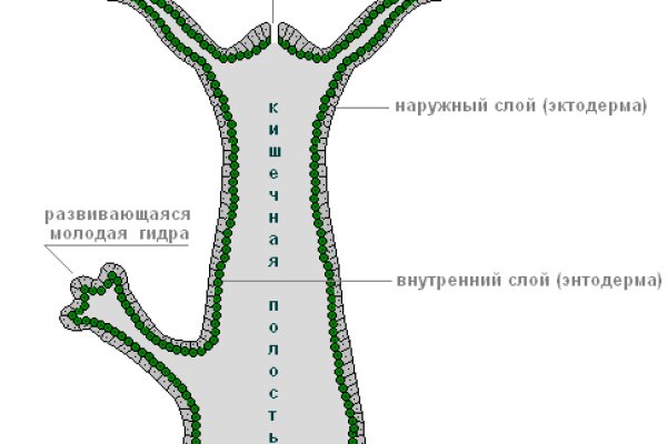 Как зайти в кракен торе