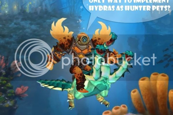 Kraken 19 at