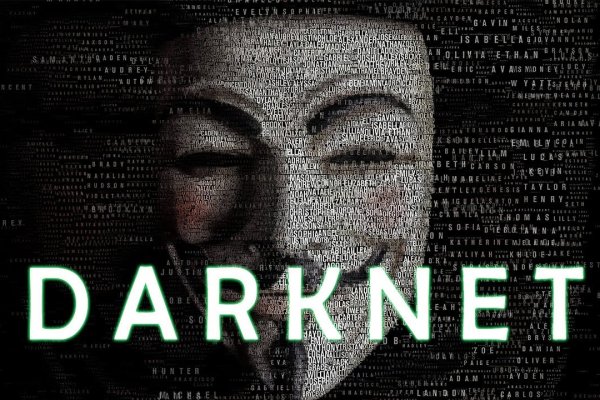 Kraken 20at