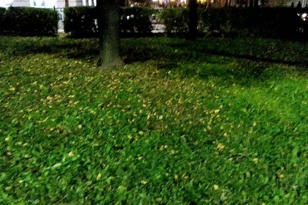 Вход в кракен даркнет
