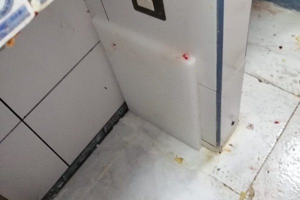 Значок кракена маркетплейса