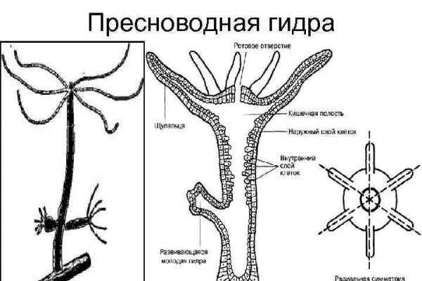 Как войти в даркнет