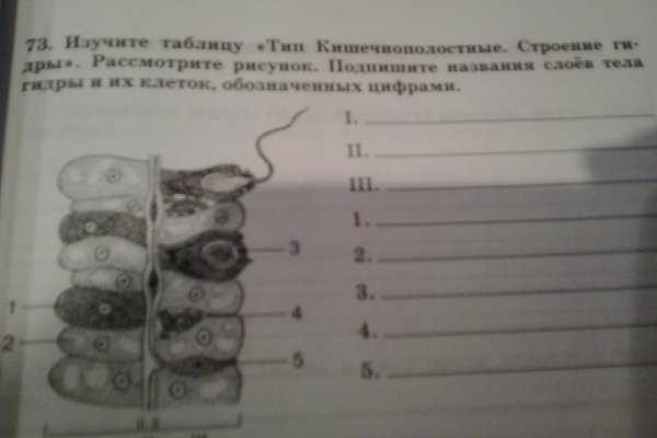 Можно вывести деньги с кракена