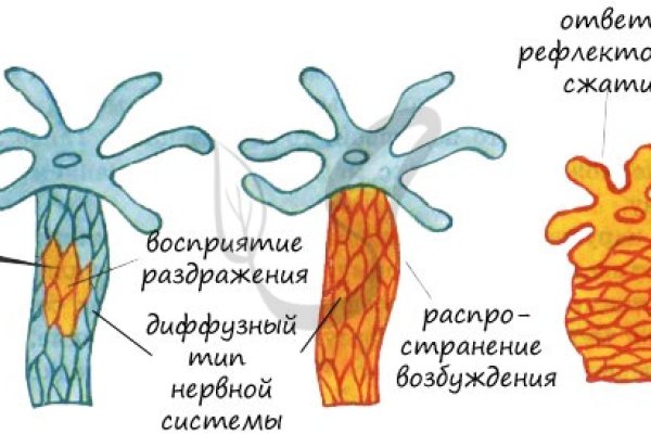 Кракен питер