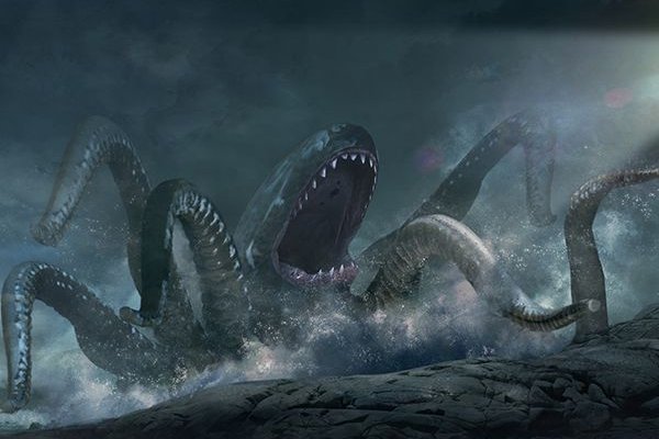 Kraken cc