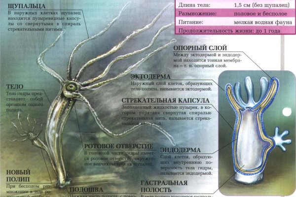 Официальный сайт даркнета