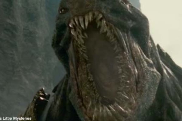 Kraken17 at